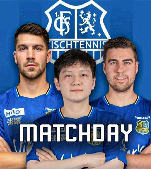 如何应对 如何应对